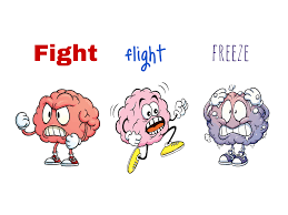 Hoe reageer jij bij stress of gevaar?